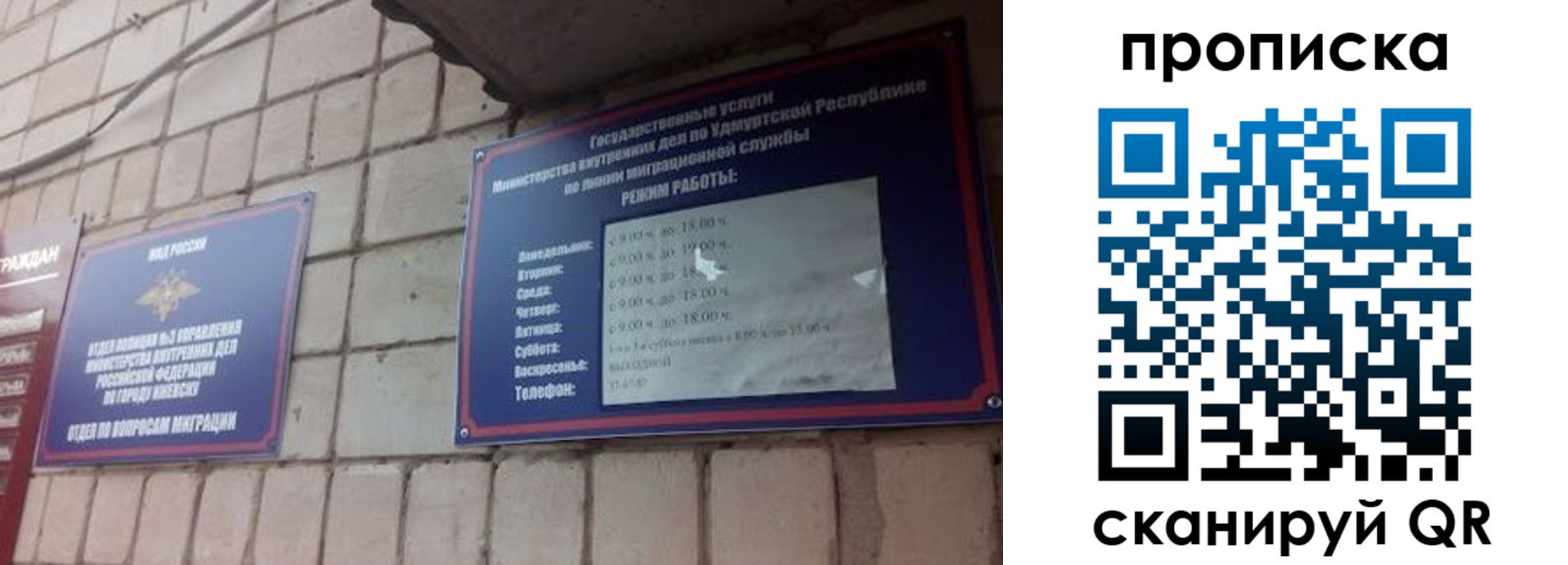 прописка 2025 в Североморске